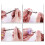 11Pcs Hand Twist Drill Set 0.5-2.0mm Woodworking Hand Punch Tool Hardware Clock Maintenance Kit 6