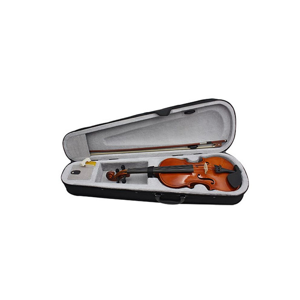 Violin 4/4 Violin,Music Instruments for Adults Child Violin, with Hard Case, Bow,Great for Beginner