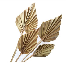Natural Dried Leaves-8 Pcs Dried Spears for Style Art Wall Hanging Ornament Wedding Decor