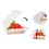 100Pcs Triangle Cheesecake Boxes Slice Cake Box Triangle Pie Holders Cake Boxes for Bakery Party Wedding 4