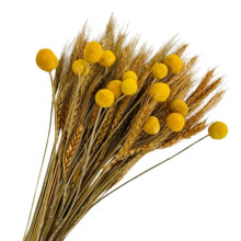 100Pcs Dried Wheat Stalks for Decor & 15 Stems Yellow Billy Balls Buttons, Autumn Fall Artificial Flowers for Decoration