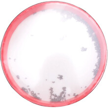 Children'S Percussion Tambourine Ocean Wave Bead Drum Sea Sound Music Instrument Toys For Baby Kid Child Early Learning Music