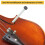 Violin Moisturizer, Sound Hole Moisturizer, Violin Maintenance Tools, Violin Sound Hole Humidifier White 3