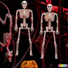 Movable Skeleton Decoration Whole Body Skull Bone Decoration Used for Party, Haunted House and Cemetery Decoration