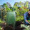 Compost Bin Bag, Fermentation Sealable Compost Bucket Garden Leaf Waste Compost Bag 4