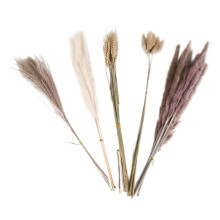 Natural Pampas Grass Decor 40 Pieces, 45cm Natural Dried White Bunny Tail Wheat Dust Pampas Grass Plant Boho Decor