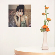 DIY Single Jennie Full Diamond Round Diamond Diamond Painting 30X40cm Kit Home Decoration