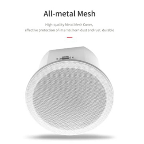 Built-In Amplifier Full Range Bluetoothback Cover Home Theater Background Music Ceiling Speaker(C) 2
