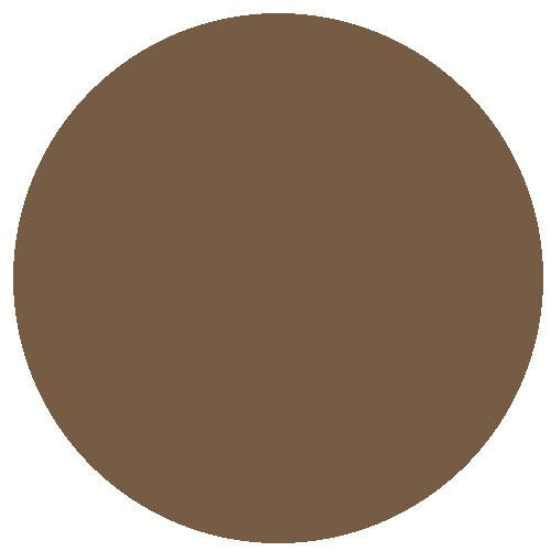 RailMatch 2402 Frame Dirt 18ml Acrylic Paint