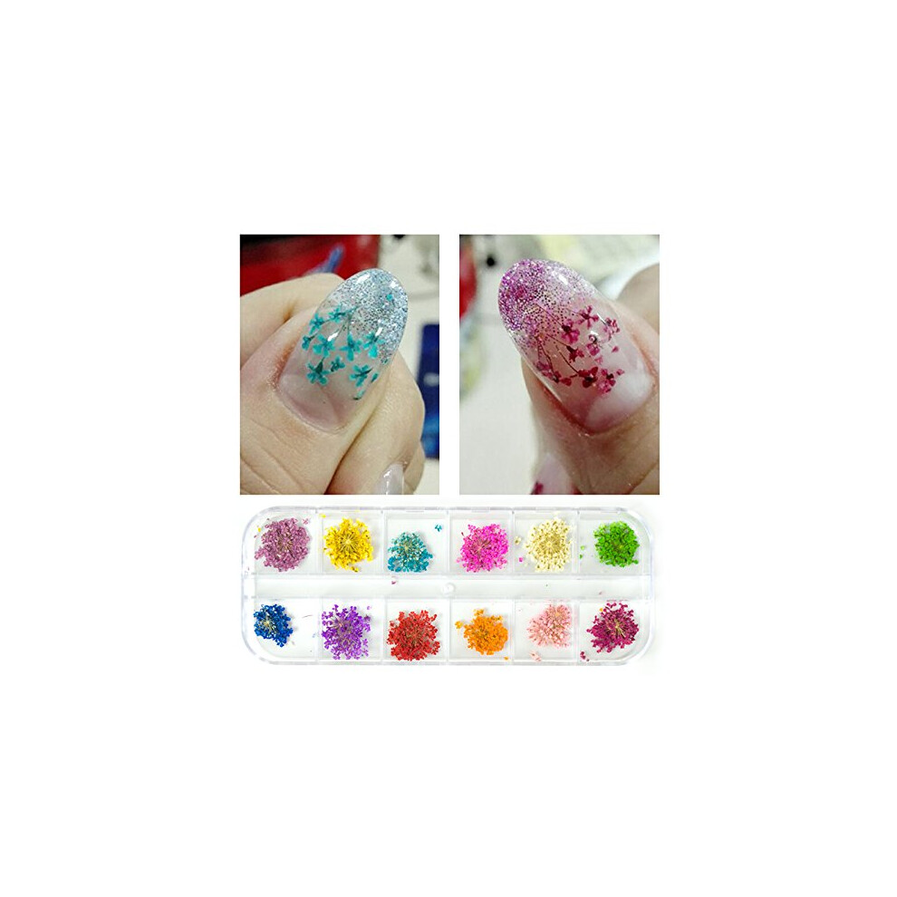 Dried Flower Nail Art Set 12 Colors Real Floral Decorations for DIY Manicure and Gel Nails