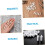 Plastic Shutter Pin 40Pcs Shutter Repair Pin Set Spring Loaded Repair Pin Replacement Shutter Pin Tools Louvers 7