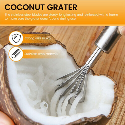Fish Scale Planer Stainless Steel Coconut Planer Seed Remover 1