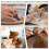 Pottery Trimming Tools,Versatile Clay Toolsm Supplies,Fine Workmanship Prune Tools for Pottery,Dedicated Clay Sharpening 5