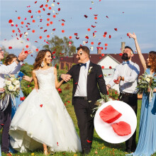 100 Stuks Rozenblaadjes Kunstbloemen voor Bruiloftsdecoratie - Geleidelijk Rood