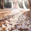 500 Rose petals  scattered white decoration Wedding Party 5