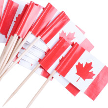 Lot of 50 Pcs Wooden Toothpick with Flag for Decor of Party Fruit Pastry - Canada