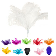 10 PeçAs de Penas de Avestruz Naturais para DecoraçãO de Festa de Casamento Branco 45-50 Cm