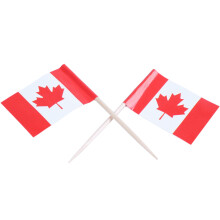 Lot of 50 Pcs  Wooden Toothpick with Flag for Decor of Party Fruit Pastry - Canada