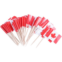 Lot of 50 Pcs Wooden Toothpick with Flag for Decor of Party Fruit Pastry - Canada