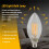 Dimmable E12 6W COB Edison Candle Flame Filament LED Light Bulb Lamp 10*3.5cm 5