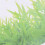 DIY Green Grass Wall Sticker Removable Wall Decor Waterproof Bedroom Mural Decal 7