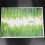 DIY Green Grass Wall Sticker Removable Wall Decor Waterproof Bedroom Mural Decal 3