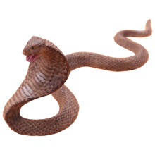 Simulation Reptilienmodell für Snake Amphibious Spectacles Kingsnake Modell Ordentlich Spielzeug Ornamente