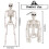 Halloween Skeletons Decorations, Posable Plastic Skeleton, Full Body Skeleton with Movable Joints 7