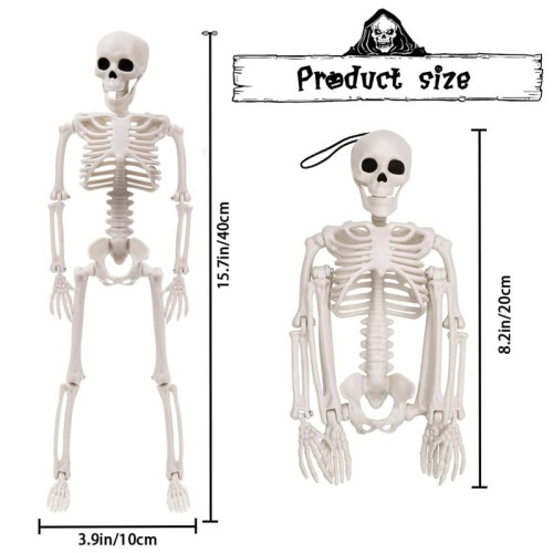 Halloween Skeletons Decorations, Posable Plastic Skeleton, Full Body Skeleton with Movable Joints