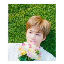 DIY Diamond Painting Fresh Flowers Kang Daniel Rhinestone Full Circle Diamond Wall Painting Bedroom Decoration