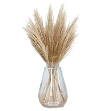 Dried Pampas Grass Phragmites,32PCS Reed Grass Plants Pompas Floral for Flower Arrangements,Wedding, Office,Home Decor