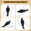 Realistic Hanging Dead Crow Decoy Lifesize Extra Large Black Feathered Crow 6
