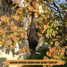 Realistic Hanging Dead Crow Decoy Lifesize Extra Large Black Feathered Crow