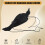 Realistic Hanging Dead Crow Decoy Lifesize Extra Large Black Feathered Crow 2