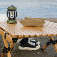 CLS Portable Camping Storage Tray - Compact Home & Travel Organizer to Reduce the Clutter of Camping L