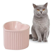 Ceramic Raised Cat-Bowls,Tilted Elevated Food or Water Bowls,Stress Free,Backflow Prevention,Dishwasher Microwave Safe B