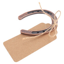 10st Good Lucky Hoefijzer Trouwbedankjes met  Tags Rustieke Hoefijzer Cadeaus voor Vintage Bruiloft Decoraties