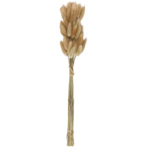 50Pcs Natural Color Dried Flowers Real Flower Bouquet for Home Wedding Decoration Rabbit Tail Grass Bunchs