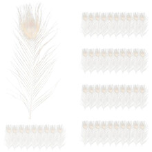 50 PCS/Natural White Feathers in the Eye, 10 to 12 Inches of the Feather Wedding Decoration