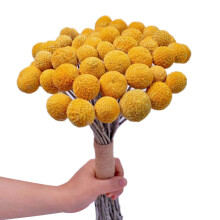 Natural Dried Flower Yellow Bouquet Bunch, Real Freshly Harvested Dried Plant Bunch, Decoration for Home Crafts