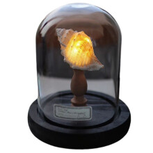 DIY Lampka Nocna Lampa LED Miękkie Oświetlenie Bez Migotania Lampa Nocna Nowość Wystrój Domu Świetny Pomysł na Prezent Styl:A