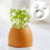 Stainless Steel Egg Cutter, Egg Top Cutter for Boiled,  & All Egg Sizes - Kitchen Gadget Tool 4