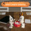 Campfire Gathering 3D Small  Campfire Nightlight Cute Funny Spooky Halloween Party Decorations B 4