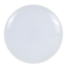 Tuya WiFi LED Ceiling Light AC 220V 24W RGBW Round Ceiling Lamp Lighting for Alexa Home Voice Control A