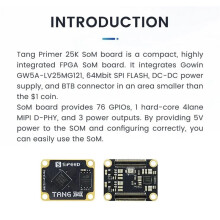 Tang Primer 25K GOWIN GW5A RISCV Placa de Desarrollo FPGA PMOD SDRAM