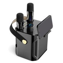 Karaoke -Luidspreker met Hoog Vermogen, Draagbaar, 360 Stereo Surround, Draadloze Subwoofer met Dubbele Microfoon, Zwart