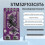 STM32F103C8T6 Development Board System Board Integration ST-LINK V2 Simulation Burner TTL Serial Port Download 3