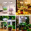 Plant Grow Light,LED Growing Light for Indoor Plants,2  Adjustable Height Growing Lamp with Timer,for Small Plants 6