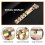 Paint Scraper Heavy Duty Alloy Scraper with 2PCS Double-Sided Blades for Removing Grout, Paint, Glue, Rust 3