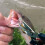 Fishing Pliers Cutter Braided  Lure Bait Scissors Hook Remover Tool Fishing Gear Fish Snip Multi-Function Cut 5